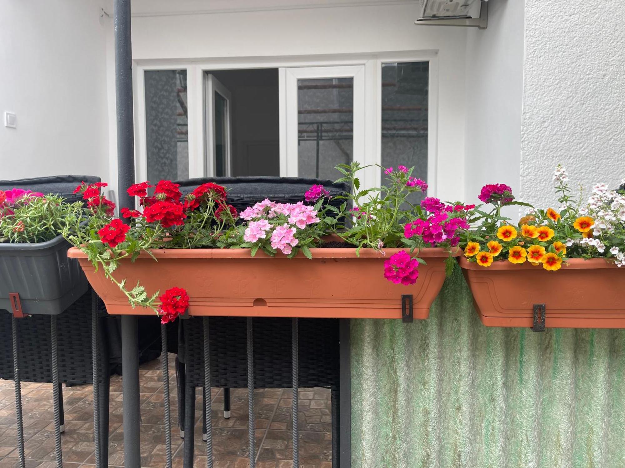 Valentina Apartman Balatonmáriafürdő Extérieur photo